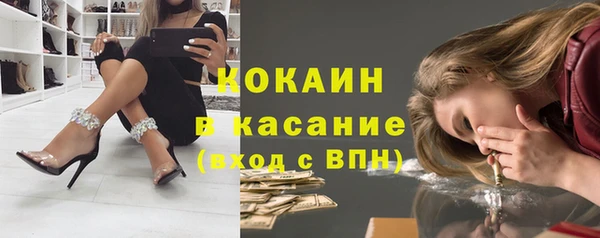 шишки Иннополис