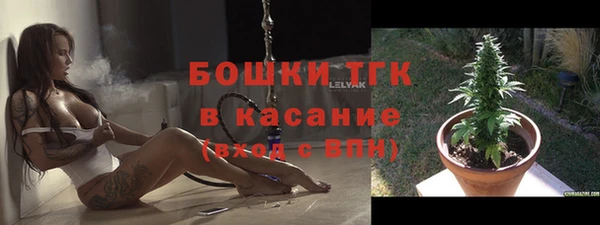 шишки Иннополис