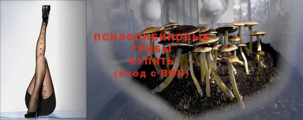 шишки Иннополис