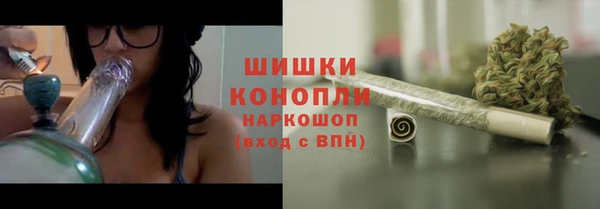 гашик Каменногорск