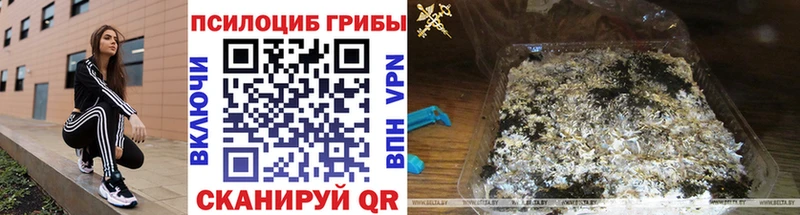 Псилоцибиновые грибы GOLDEN TEACHER  Купить закладки  Вилюйск 